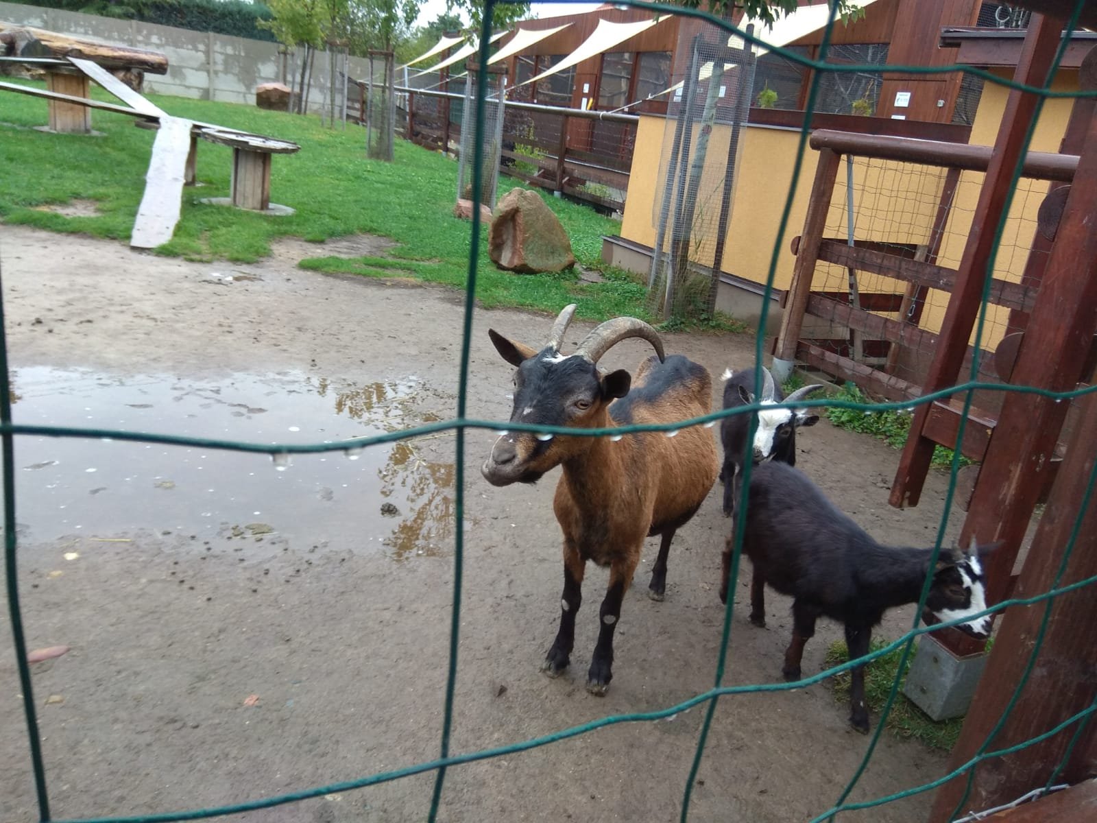 Foto z vydařeného výletu